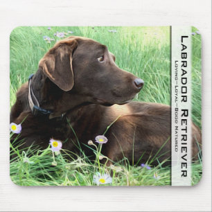 Tapis De Souris Chien beau de labrador retriever de chocolat