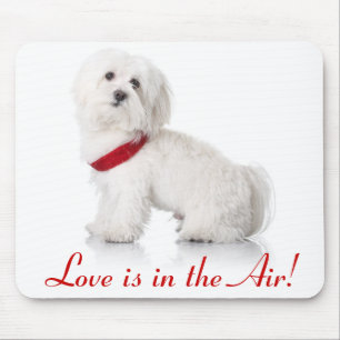 Tapis de souris Chien Bichon Frise Blanc Mignon