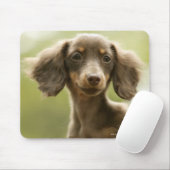 Tapis De Souris Chien blanc (brun) (Avec souris)