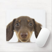 Tapis De Souris Chien blanc (brun) 2 (Avec souris)