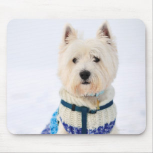 Tapis De Souris Chien blanc dans des vêtements dans la neige