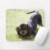 Tapis De Souris Chien blanc (noir) 2 (Avec souris)