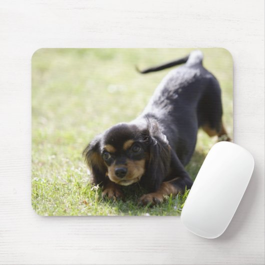 Tapis De Souris Chien blanc (noir) 2 (Avec souris)