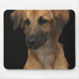 Tapis De Souris Chien Brown de resuce avec le nez noir sur le noir