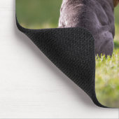 Tapis De Souris chien, bulldog, anglais bulldog (Coin)