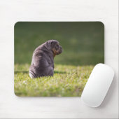 Tapis De Souris chien, bulldog, anglais bulldog (Avec souris)