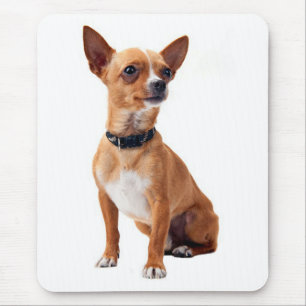 Tapis de souris Chien Canin Chihuahua Chiot Amour