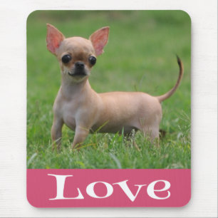 Tapis de souris Chien Chihuahua Mignon