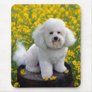 Tapis de souris Chien chiot Bichon Frise mignon