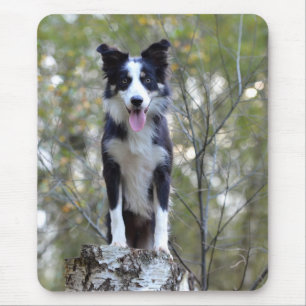 Tapis de souris Chien chiot Border Collie Amour