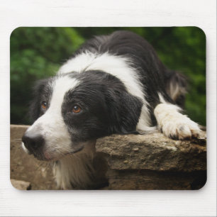 Tapis de souris Chien chiot Border Collie Mignon