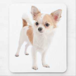 Tapis de souris Chien Chiot Chihuahua