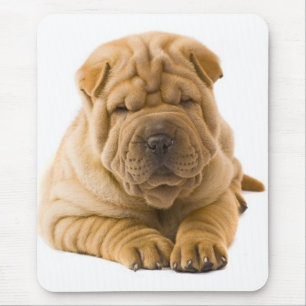 Tapis De Souris Chien chiot chinois Shar Pei - Sharpei