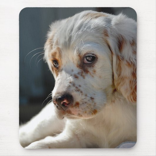 Tapis De Souris Chien chiot espagnol (Devant)