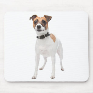 Tapis de souris Chien chiot Jack Russell Terrier L