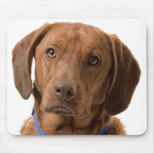 Tapis de souris Chien Chiot Labrador Retriever au