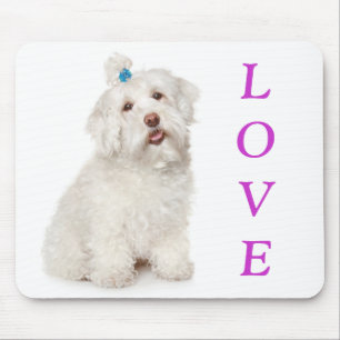 Tapis de souris Chien chiot Maltais blanc