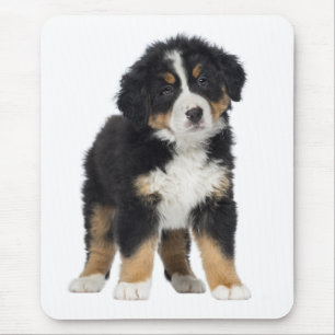 Tapis de souris Chien chiot Montagne bernoise