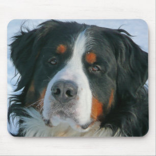 Tapis de souris Chien chiot Montagne bernoise