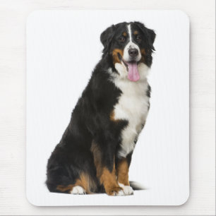 Tapis de souris Chien chiot Montagne Bernoise