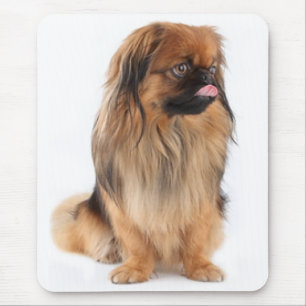Tapis de souris Chien Chiot Pékinais Amour