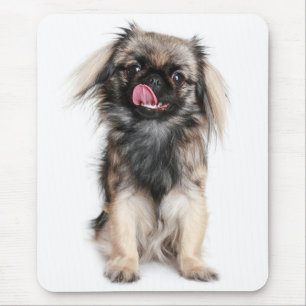 Tapis de souris Chien Chiot Pékinais Amour