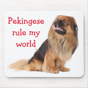 Tapis de souris Chien Chiot Pékinois