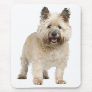 Tapis de souris Chien chiot Terrier Cairn Heureux