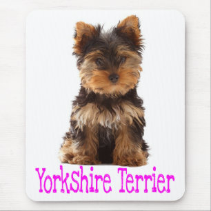 Tapis de souris Chien Chiot Yorkshire Terrier