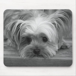 Tapis de souris Chien chiot Yorkshire Terrier Love