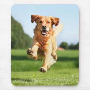 Tapis De Souris Chien courant drôle