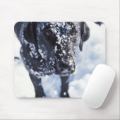 Tapis De Souris Chien couvert de neige (Avec souris)