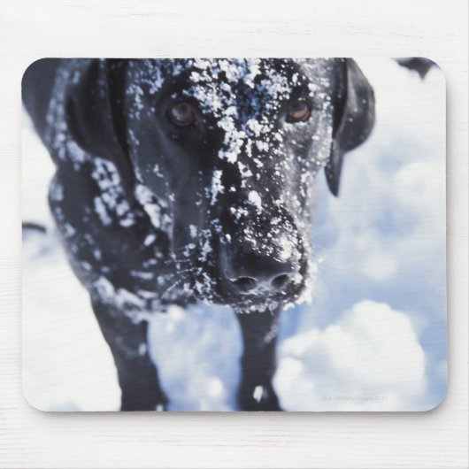 Tapis De Souris Chien couvert de neige (Devant)