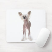 Tapis De Souris Chien crêté chinois Mouspad (Avec souris)