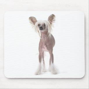 Tapis De Souris Chien crêté chinois Mouspad