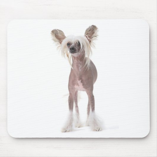 Tapis De Souris Chien crêté chinois Mouspad (Devant)