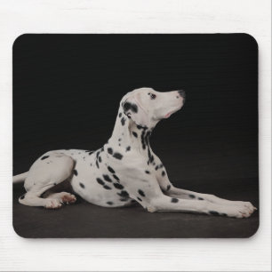 Tapis de souris Chien Dalmatien Noir