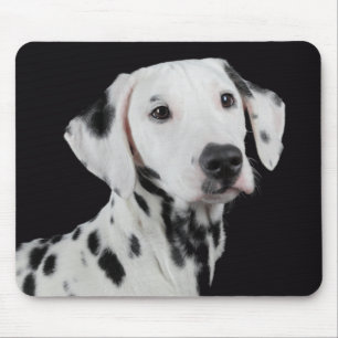 Tapis de souris Chien Dalmatien Noir