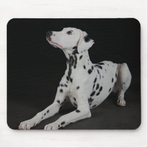 Tapis de souris Chien Dalmatien Noir
