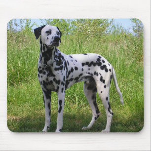 Tapis de souris Chien Dalmatien Noir