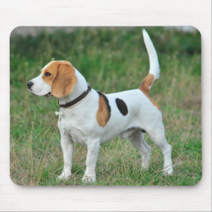 Tapis De Souris Chien de Beagle
