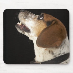 Tapis De Souris Chien de beagle avec le profil noir de collier