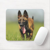 Tapis De Souris Chien de berger belge (Avec souris)