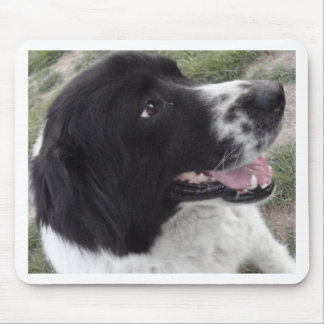 Tapis De Souris Chien de berger bulgare de Sara