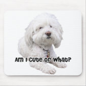 Tapis De Souris Chien de Bichon Frise (Devant)