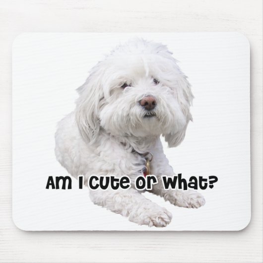 Tapis De Souris Chien de Bichon Frise (Devant)