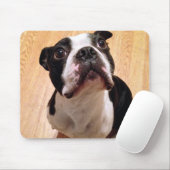 Tapis De Souris Chien de Boston Terrier (Avec souris)