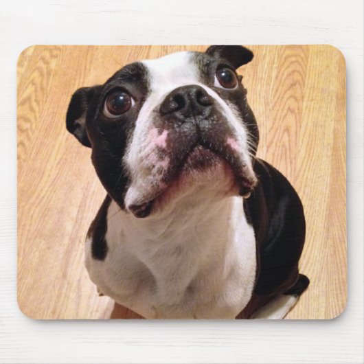 Tapis De Souris Chien de Boston Terrier (Devant)