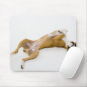 Tapis De Souris Chien de boxe allongé sur son dos sur le sol (Avec souris)