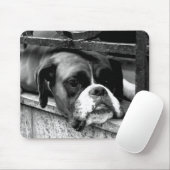 Tapis De Souris Chien de boxe sur Windowsill mpcna (Avec souris)